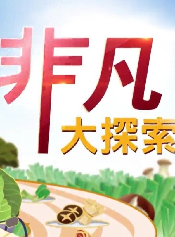 【精品 泄密 】杭州甜美女孩与男友 自拍 流出 - 十万部AV海报