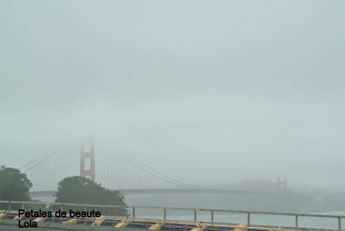 DSC_5890