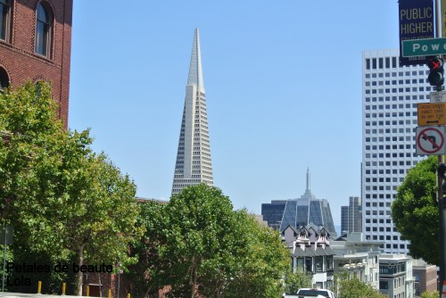 DSC_5985