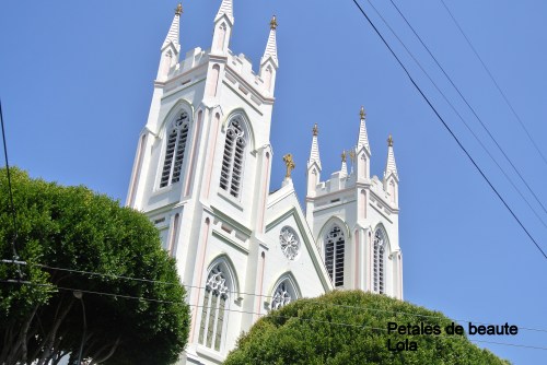 DSC_5997
