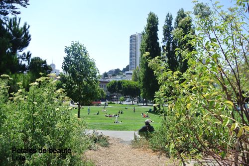 DSC_6003