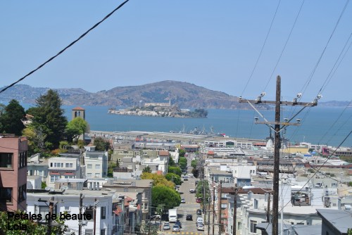 DSC_6011