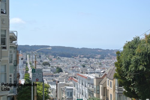 DSC_6012