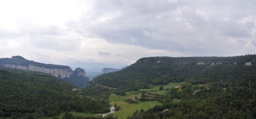 DSC_8486
