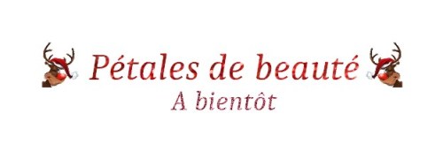 banniére a bientot noel